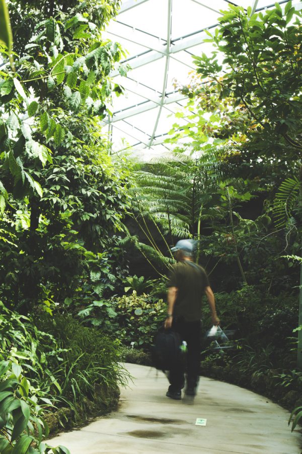 都会のジャングル＝植物園に行く